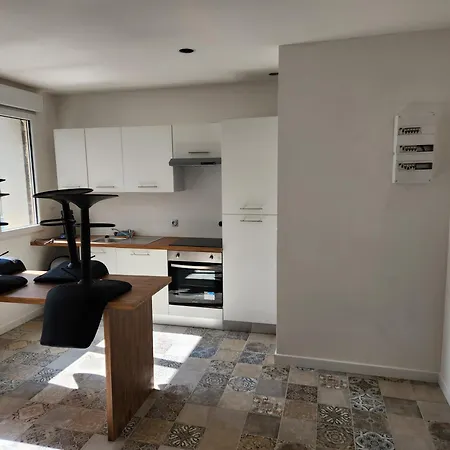 T3 Cosy Saint-Etienne (Loire)
