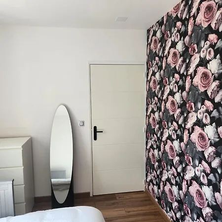 Apartment T3 Cosy Saint-Etienne (Loire)